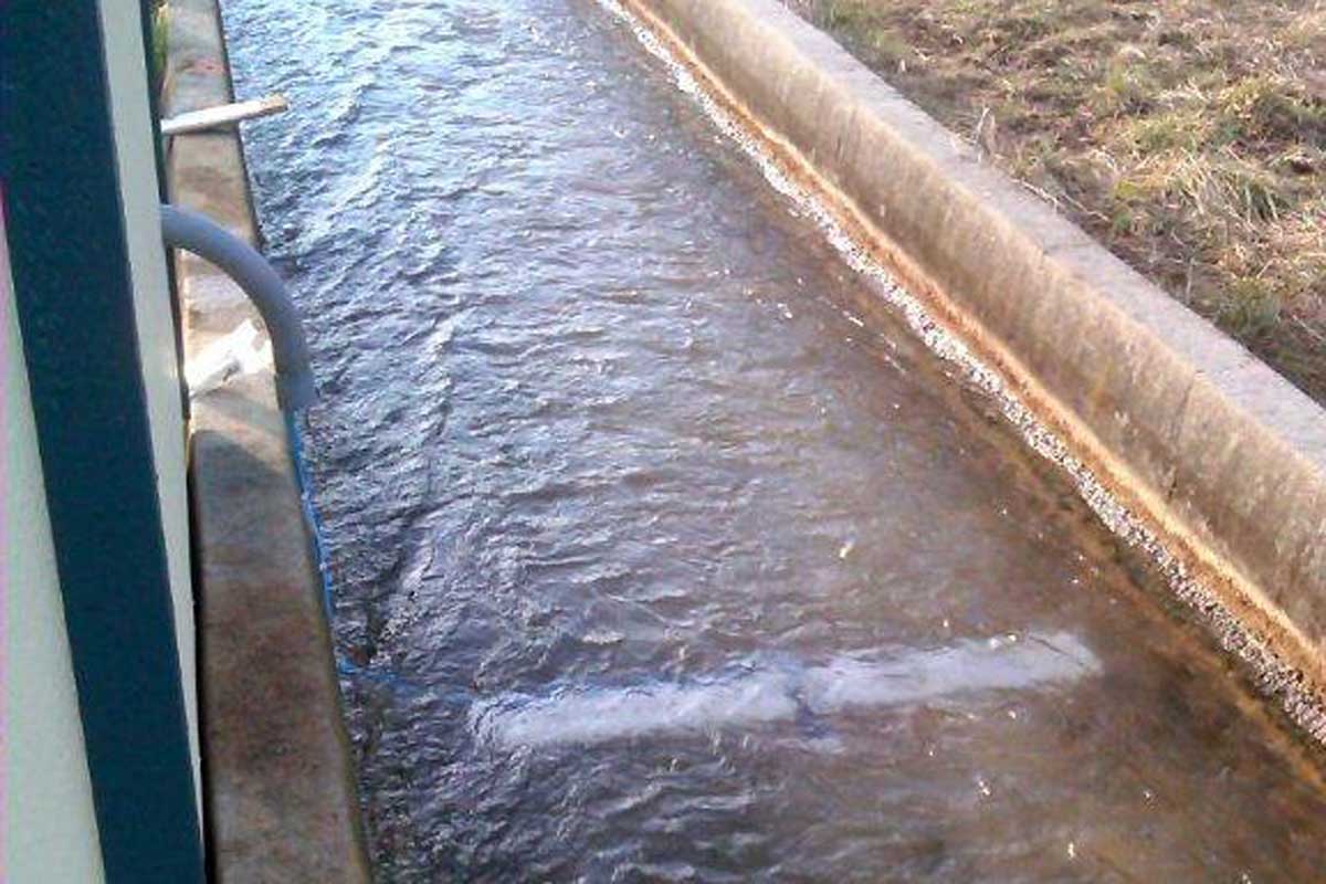 MainFLO, on the field